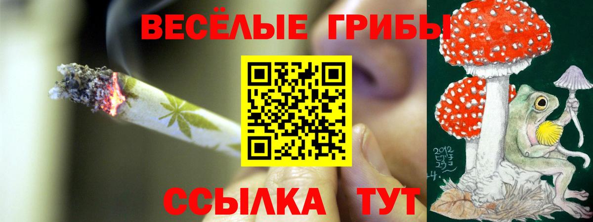 Оренбург  Псилоцибиновые грибы мицелий  как найти наркотики  Вход с VPN  Псилоцибиновые грибы Magic Shrooms 